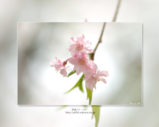 430518 (a): :1280x1024